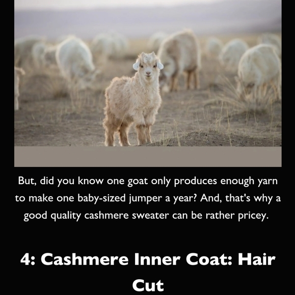 Luxury Cashmere Britches Pants Leggings Minimalist Washable Breathable Size 4 - Picture 10 of 10